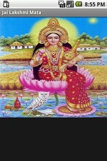 Jai lakshmi mata aarti截图2