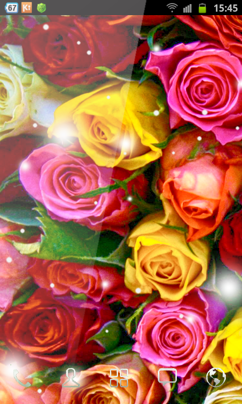 Free Image Roses截图2