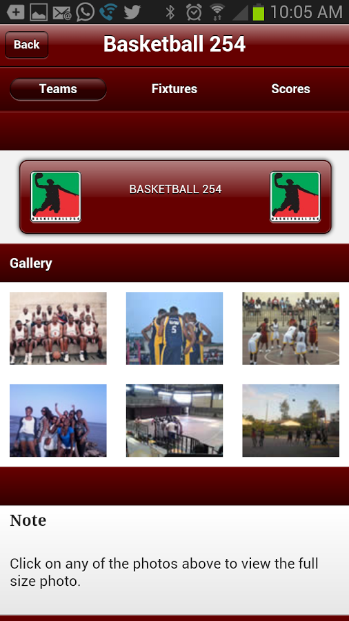 Basketball 254截图6