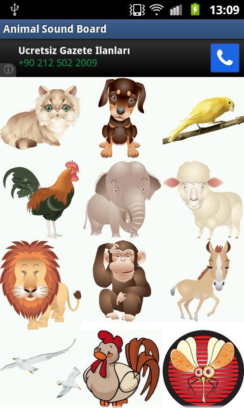 Animal Soundboard截图1