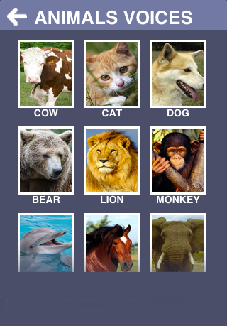 Animals friends - guess songs截图1