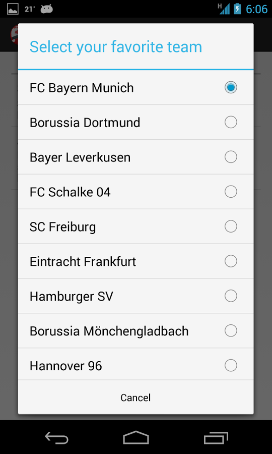 BundesLiga Flashlight截图1