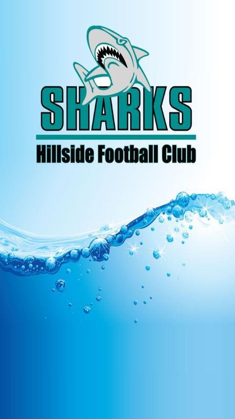 Hillside Football Club截图2