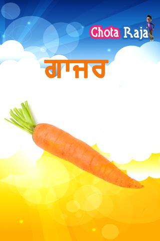 Vegetables in Punjabi on...截图2