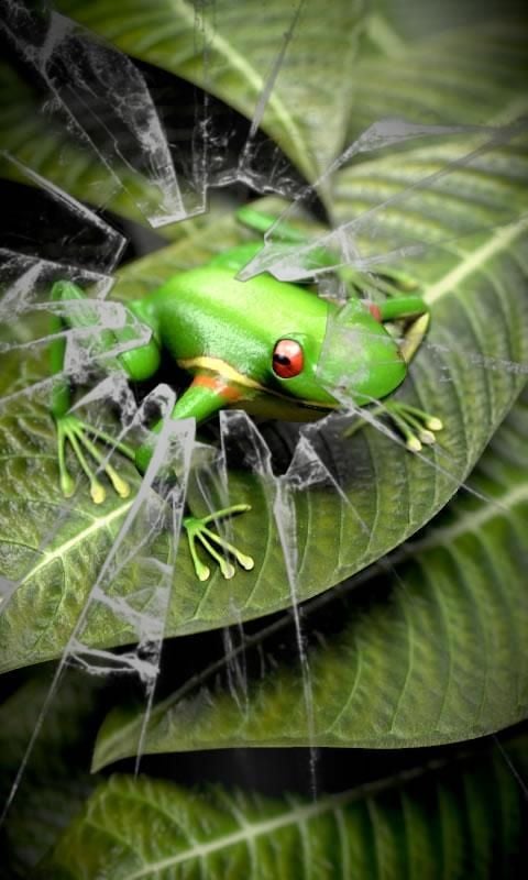 Froggy Free截图2