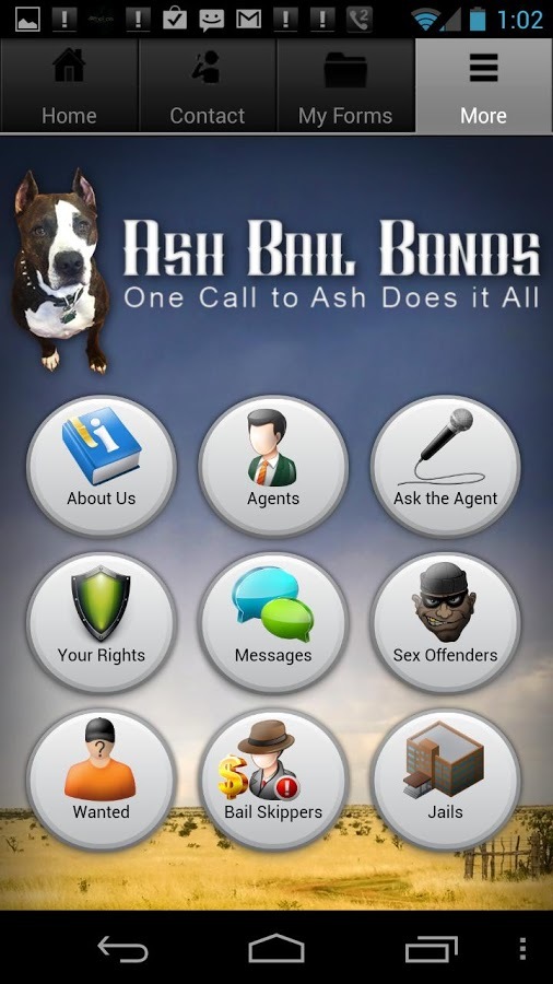 Ash Bail Bonds截图4