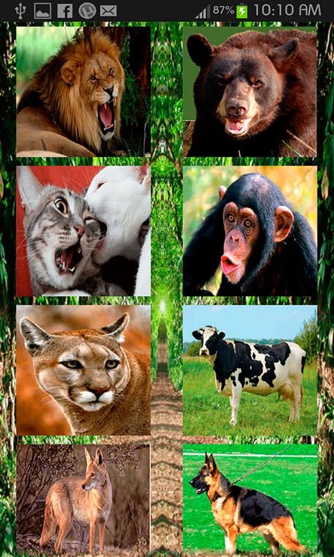 Animals SoundEffect截图4