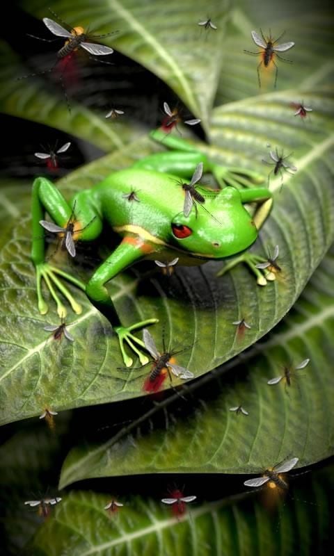 Froggy Free截图1