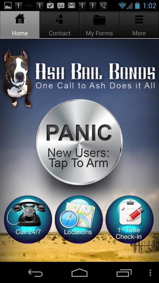 Ash Bail Bonds截图1