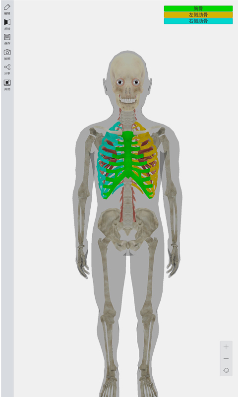 3D人体模型截图3