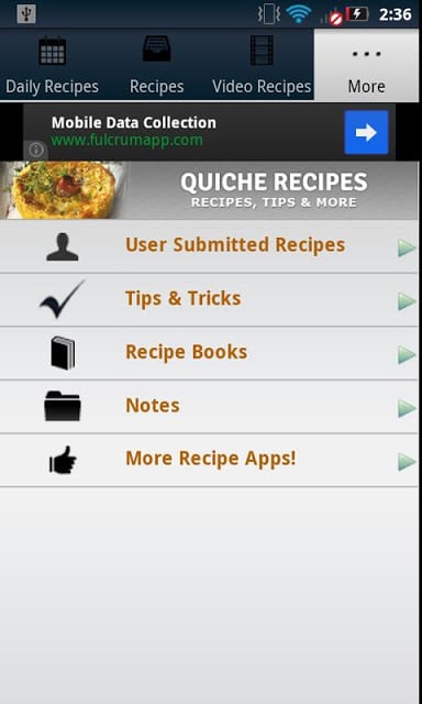 Quiche Recipes!截图2