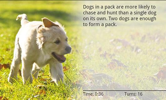 Dogs Memory Free截图5