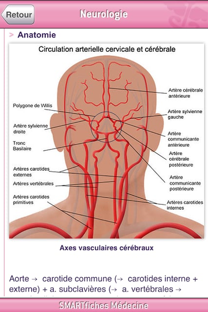 SMARTfiches Neurologie FREE截图5