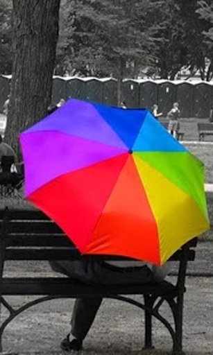 Color Splash Photo Touch截图3