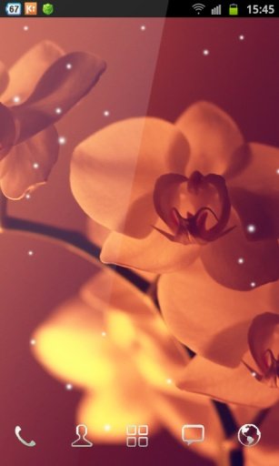 Mini Orchid Wallpaper Style截图1