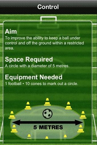 Active Soccer Challenge截图3