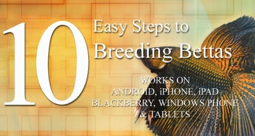 10 Easy Steps to Breed Bettas截图1