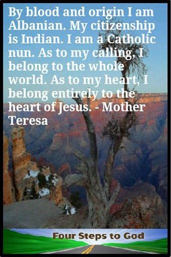 Mother Teresa Inspiration截图3