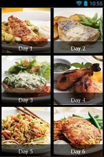 7 Day Diet Meal Plan截图2