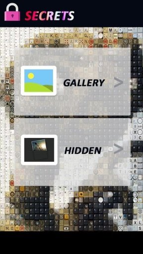 Secret Gallery截图1