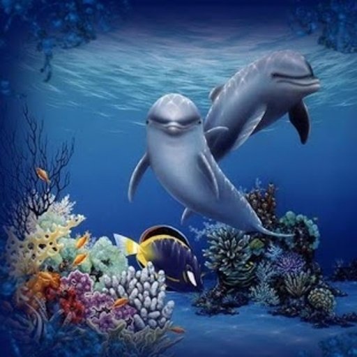 Beautiful Dolphin Magic Touch截图11