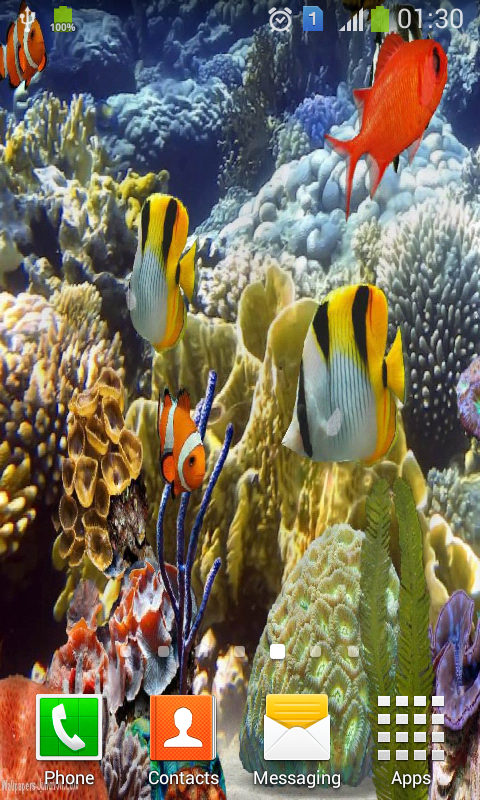 Marine Fish Aquarium HD LWP截图2