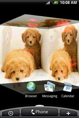 3D Red Poodle I截图1