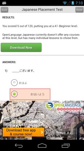 Japanese Placement Test截图1