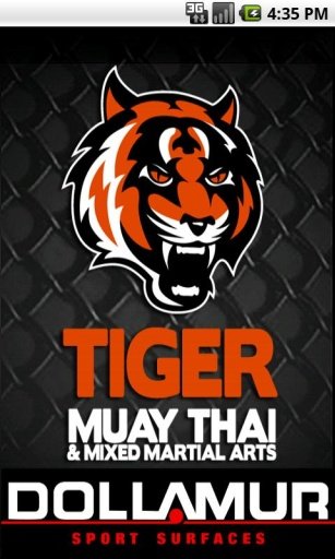 Tiger Muay Thai截图3