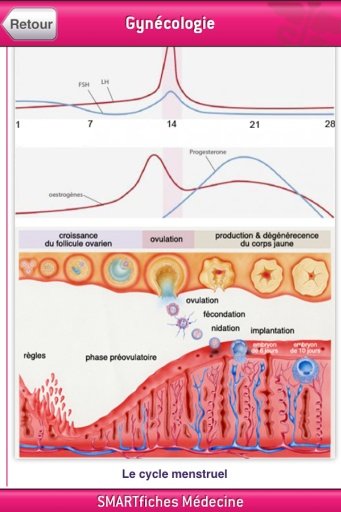 SMARTfiches Gynécologie Free截图8