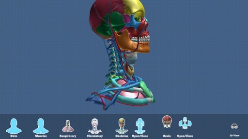 The Brain AR App截图4