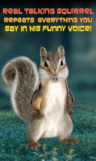 Real Talking Squirrel截图2