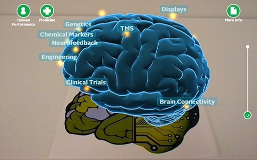 Wright State Brain Scan截图9