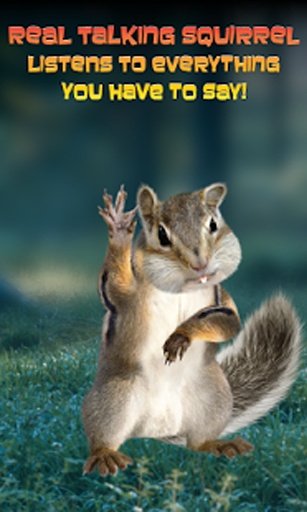 Real Talking Squirrel截图4