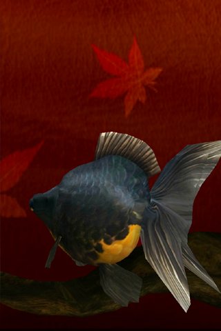 Gold Fish 3D截图1