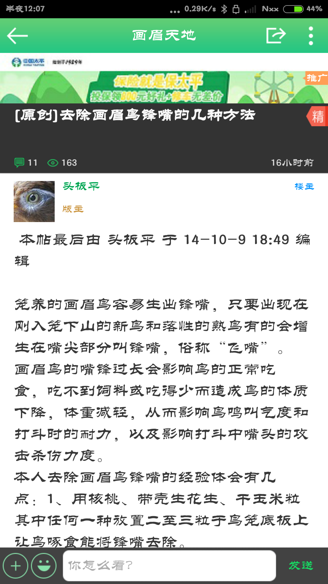 快活鸟截图1