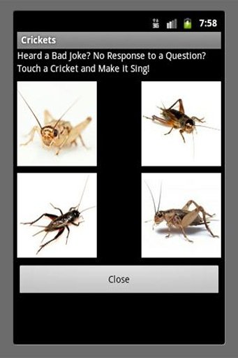 Bad Joke Crickets Sound截图2