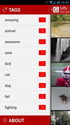 GifTag - Gif Viewer截图3