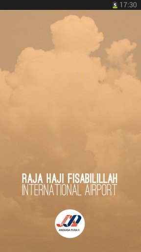 Raja Haji Fisabilillah Airport截图3