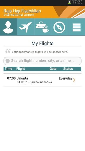 Raja Haji Fisabilillah Airport截图5
