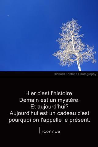 French Photo Quote截图1