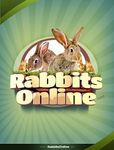 Rabbit Forum截图1