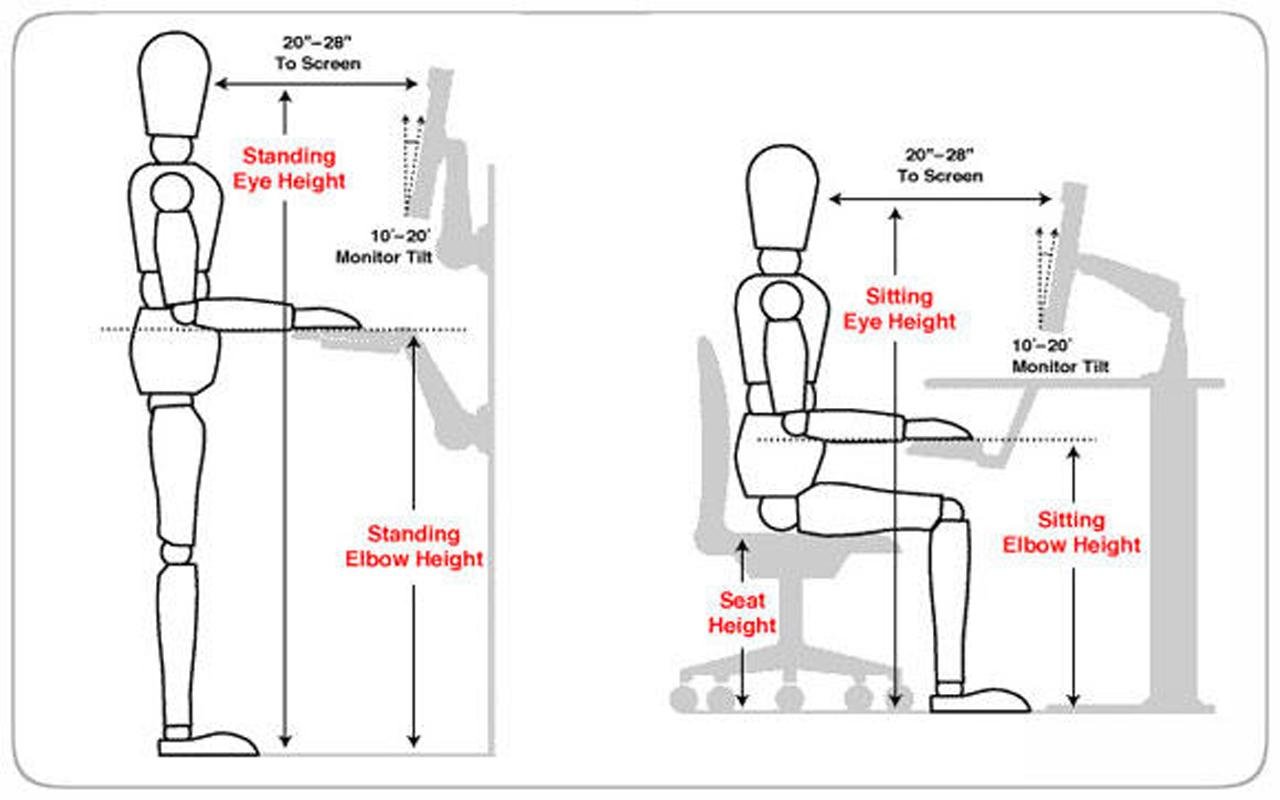 Sitting Position截图1