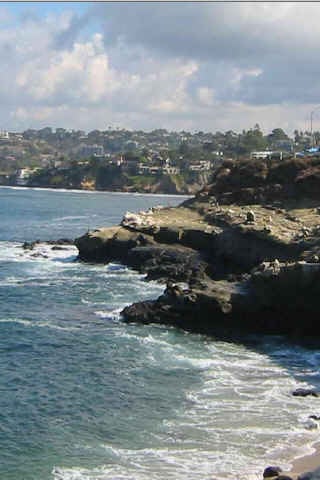 La Jolla CPA截图1