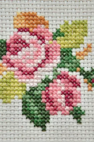 Cross-stitch App截图3