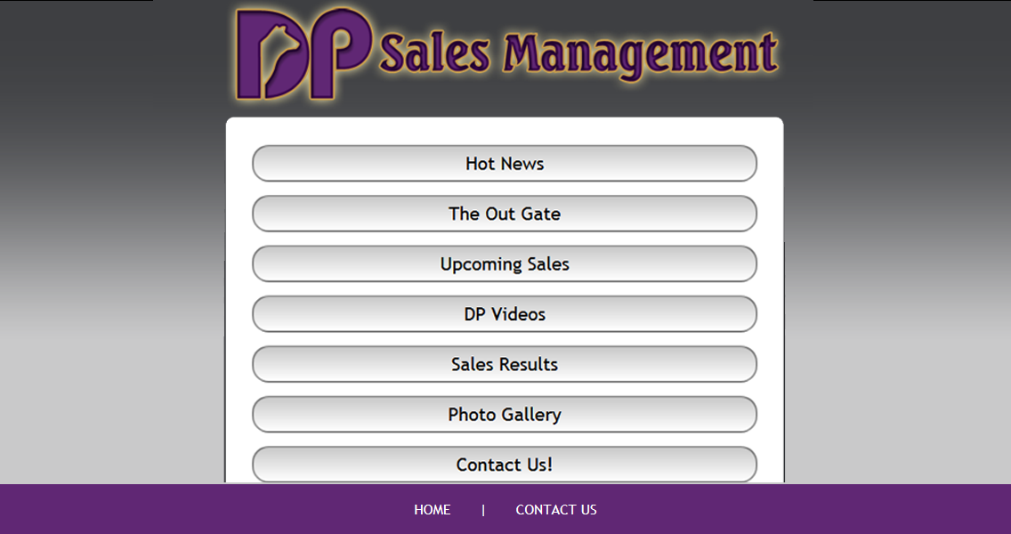 DP Sales Management截图1