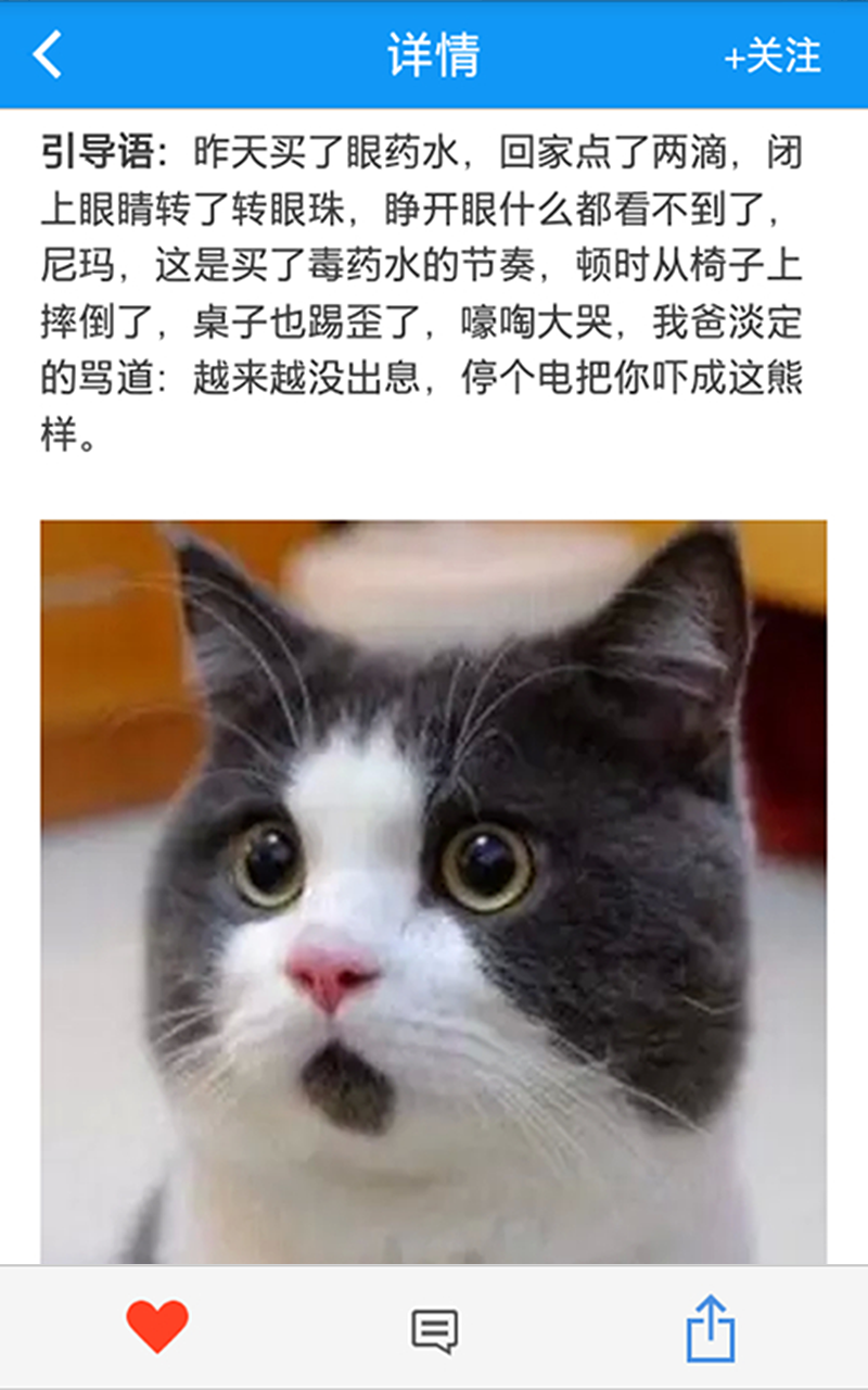 轻日报截图3