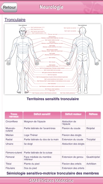 SMARTfiches Neurologie FREE截图9