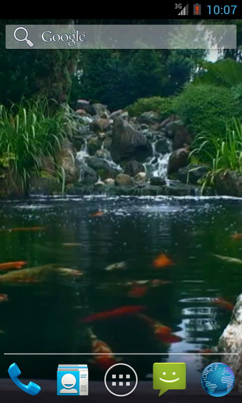 Real pond with Koi截图4