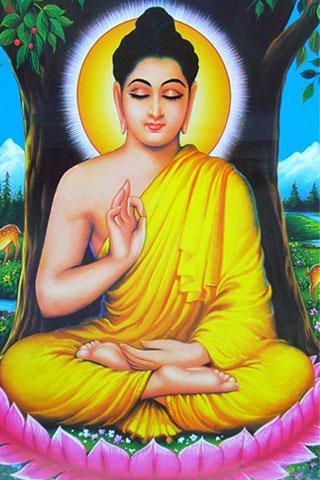 Lord Buddha Wallpapers截图6